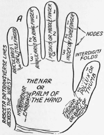 Reading Palms for Fun 290