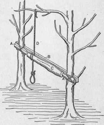 Fig. 1. The Old Tree Lathe
