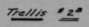 Plate V 11