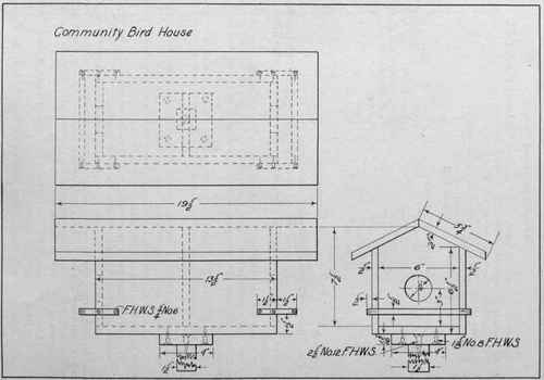 Community Bird House