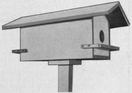 Fig. 26. Community Bird House.
