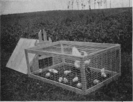 Fig. 27. Chicken Brooder Coop and Run.
