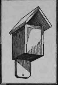 How To Make A House For Jenny Wren 226