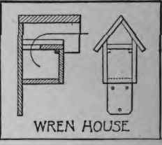 How To Make A House For Jenny Wren 227