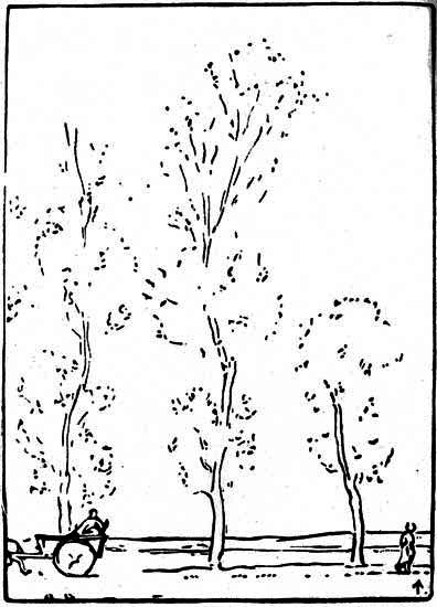 Plate IX