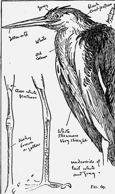 Fig. 69.
