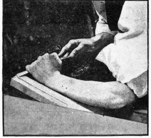 Fig. 116.