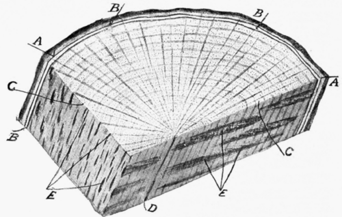 Fig. 23.