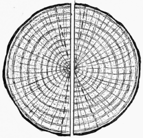 Fig. 24.