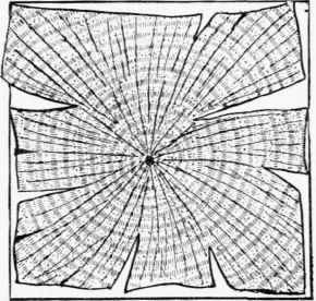 Fig. 27.