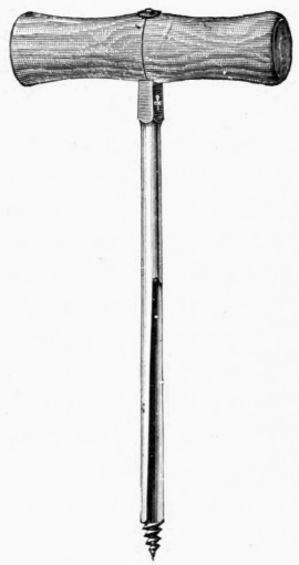 Fig. 81.