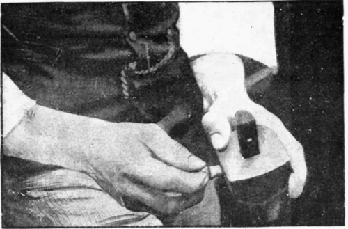 Fig. 99.