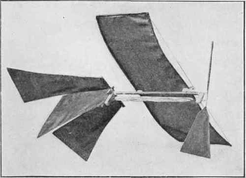 A model monoplane flying machine