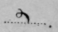 The Combinations Represented By The N Curl 839