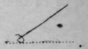 The Combinations Represented By The N Curl 848