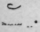 The Half Length Principle 688