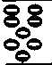 The Thirty First Roll Of Oracles Hieroglyphical Em 1957