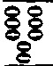 The Thirty First Roll Of Oracles Hieroglyphical Em 2003