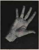 ALL FINGERS SEPARATED WIDELY