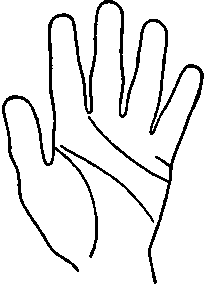 The Lines Of Affection 464
