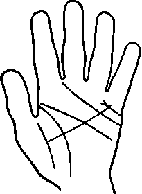 The Lines Of Affection Continued 492