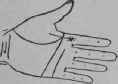 A Terminating In A Sign 393
