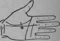 A Terminating In A Sign 395