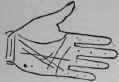 B Minor Lines 488