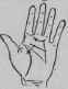 Constant Oppressions Amounting To Mono Mania 1150