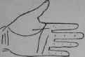 General Indication Of Importance 332