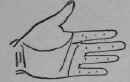 I Lines And Signs On The Mount Of Jupiter 47