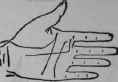 I Position And Direction 769