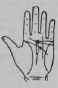 Presentiments 843