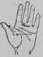 The Girdle Of Venus VI Signs 730