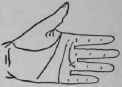 The Girdle Of Venus VI Signs 731