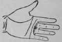 The Girdle Of Venus VI Signs 732