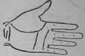 The Hand Of Jules Gerard The Famous Lion Killer 582