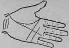 The Hand Of Jules Gerard The Famous Lion Killer 584