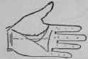 The Hand Of Jules Gerard The Famous Lion Killer 586