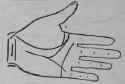 The Hand Of Jules Gerard The Famous Lion Killer 587