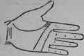 The Hand Of Jules Gerard The Famous Lion Killer 589
