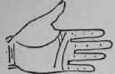 The Hand Of Jules Gerard The Famous Lion Killer 590