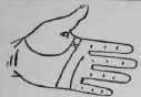 The Hand Of Jules Gerard The Famous Lion Killer 591