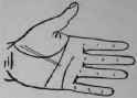 The Hand Of Jules Gerard The Famous Lion Killer 592