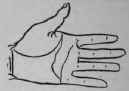 The Hand Of Jules Gerard The Famous Lion Killer 593