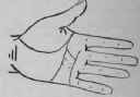 The Hand Of Jules Gerard The Famous Lion Killer 594