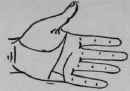 The Hand Of Jules Gerard The Famous Lion Killer 595