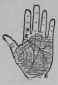 The Hands Of The Famous German Painter Cornelius 557
