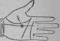 The Influence Of A Paramour Causes The Loss Of A L 423