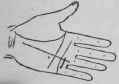 The Line Of The Sun VII Signs 912